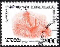 [Rice Cultivation, type BSW]