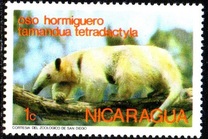 [Wild Animals, type AOH]