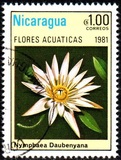 [Aquatic Flowers, type BCH]