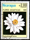 [Aquatic Flowers, type BCK]