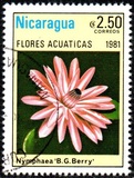 [Aquatic Flowers, type BCL]