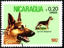 [Dog Breeds, typ BEA]