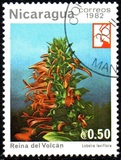 [Flowers, тип BFD]