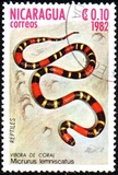 [Reptiles, tip BFK]