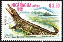 [Airmail - Reptiles, tip BFP]