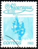 [Flowers, type BGF]