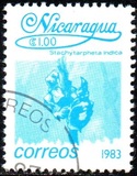 [Flowers, type BGF]