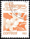 [Flowers, type BGG]