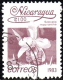 [Flowers, type BGH]
