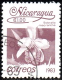 [Flowers, type BGH]