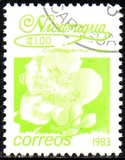 [Flowers, type BGL]