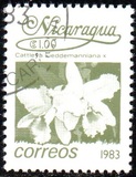 [Flowers, type BGN]