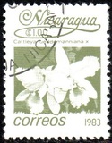 [Flowers, type BGN]