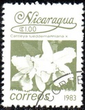 [Flowers, type BGN]