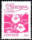 [Flowers, type BGO]