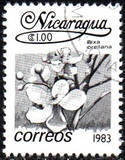 [Flowers, type BGP]