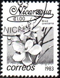 [Flowers, τύπος BGP]