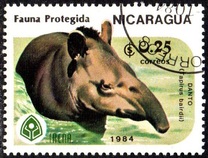 [Wildlife Conservation, type BNO]