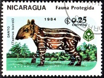 [Wildlife Conservation, type BNP]