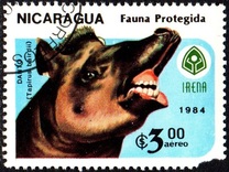 [Airmail - Wildlife Conservation, type BNQ]