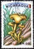 [Airmail - Mushrooms, Scrivi BOE]
