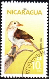 [Birds, type BRD]