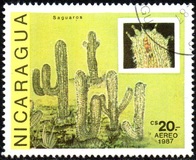 [Airmail - Cacti, type BXG]