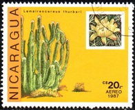 [Airmail - Cacti, type BXH]