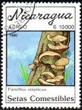 [Airmail - Mushrooms, tegund CFC]