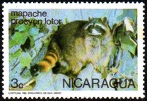 [Wild Animals, type AOJ]