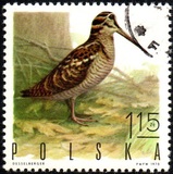 [Bird Game, 유형 BGW]