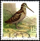 [Bird Game, 유형 BGW]