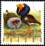 [Bird Game, 유형 BGX]