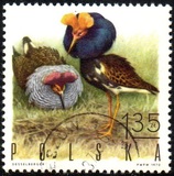 [Bird Game, 유형 BGX]