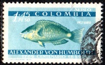 [Airmail - The 100th Anniversary of the Death of Alexander von Humboldt, 1769-1859, type ZR]