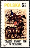[The 150th Anniversary of Horse Riding in Sieraków, tegund CGY]
