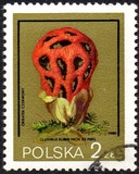 [Protected Poisonous Mushrooms, típus CHV]