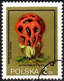 [Protected Poisonous Mushrooms, típus CHV]