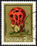 [Protected Poisonous Mushrooms, típus CHV]