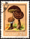 [Protected Poisonous Mushrooms, típus CHX]