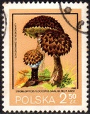 [Protected Poisonous Mushrooms, típus CHX]