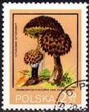 [Protected Poisonous Mushrooms, típus CHX]