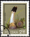 [Protected Poisonous Mushrooms, típus CHY]