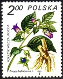 [Therapeutic Plants, tyyppi CII]