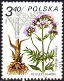 [Therapeutic Plants, tyyppi CIK]