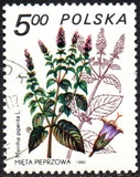 [Therapeutic Plants, tyyppi CIL]