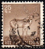 [Spotted Deer, type PE]