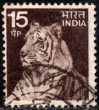 [Бело-коричневая, тип PG]