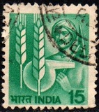 [Agriculture, type XP]