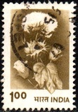 [Agriculture, type XR]